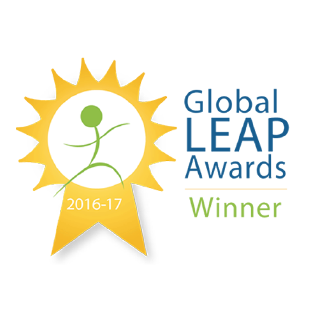 Global Leap Award 2016 - 2017